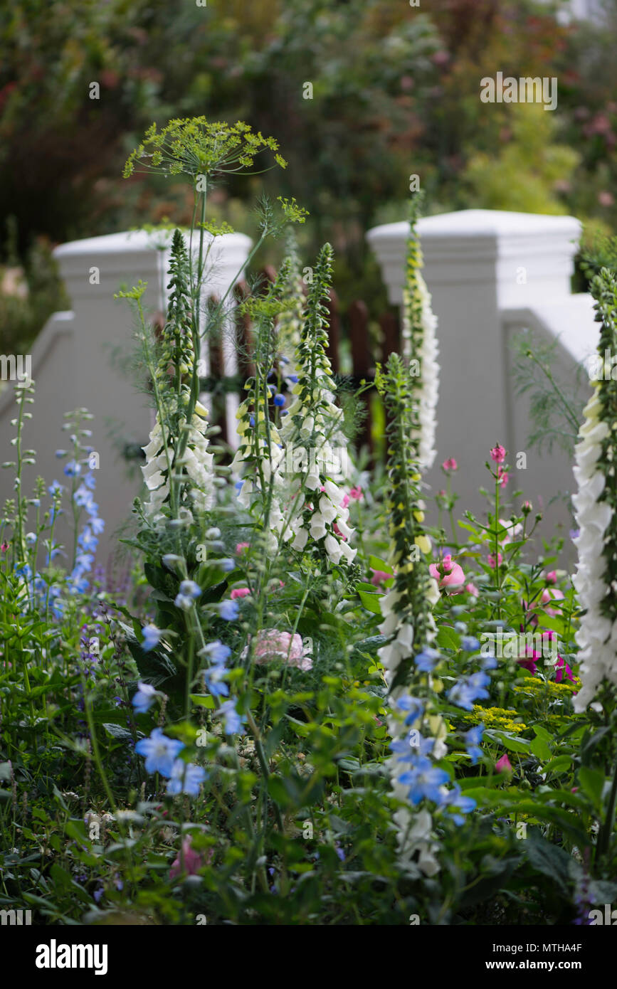 Chelsea Flower Show 2018 Stockfoto