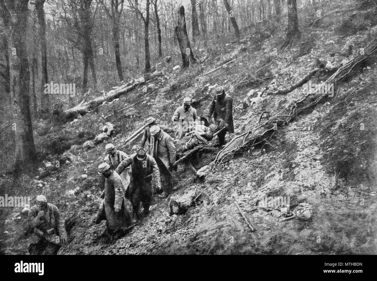 Evakuierung von verwundeten Soldaten in einem Wald, 1915, Frankreich Stockfoto