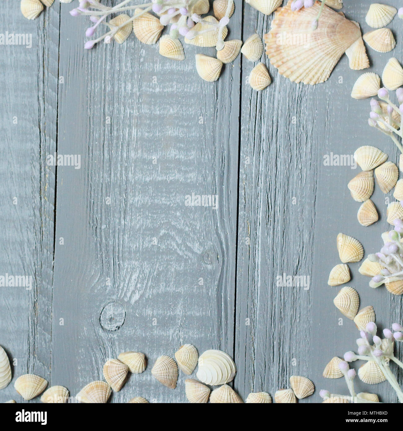 Blau Holz- Hintergrund mit Muscheln und Korallen Stockfoto