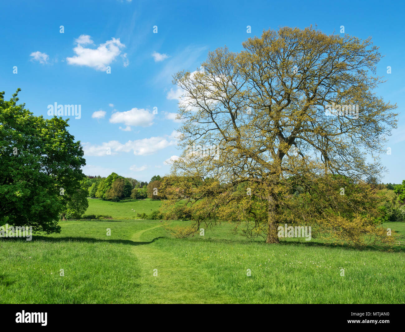 Jacob Smith Park von 30 Hektar Parklandschaft vermachte Knaresborough von Winifred Jacob Smith MBE Knaresborough North Yorkshire England Stockfoto