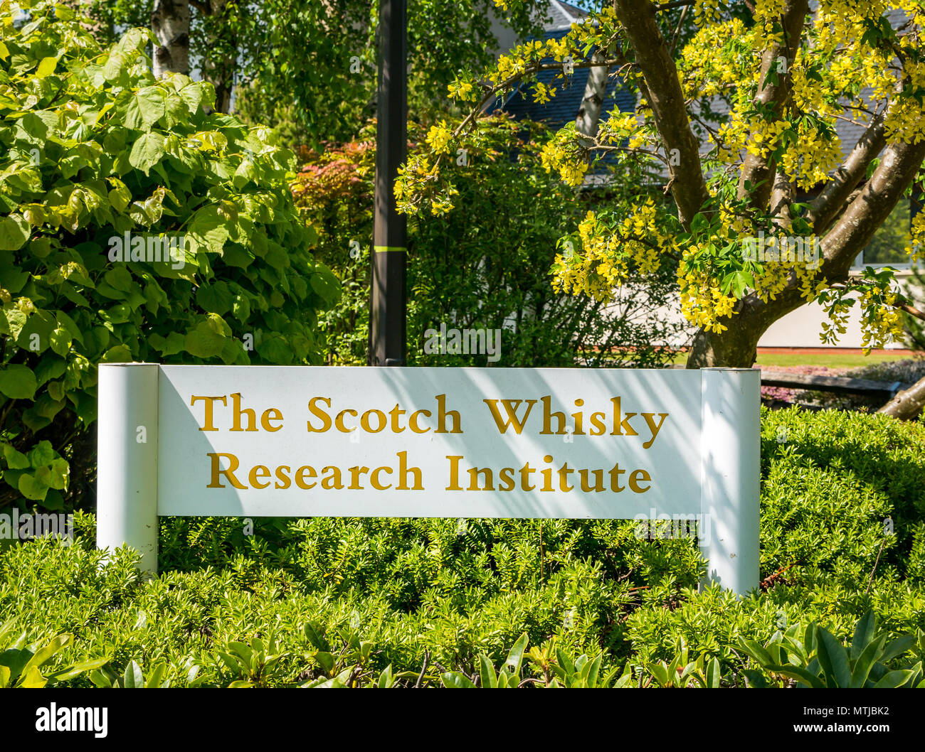 Scotch Whisky Research Institute Zeichen, Heriot Watt University, Edinburgh, Schottland, Großbritannien Stockfoto
