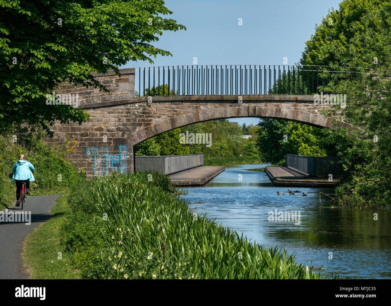 Frau Reiten Fahrrad auf Leinpfad, Union Canal, Edinburgh, Schottland, Großbritannien, mit Aquädukt und Enten Stockfoto