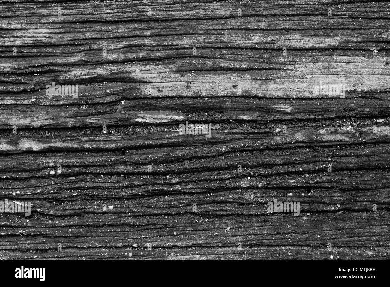 Schwarze und weiße Holz muster textur für Hintergrund. Holz Oberfläche für Textur Design. Stockfoto