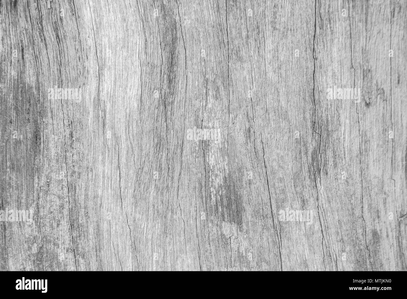 Weißes Holz muster textur für Hintergrund. Holz Oberfläche für Textur Design. Stockfoto