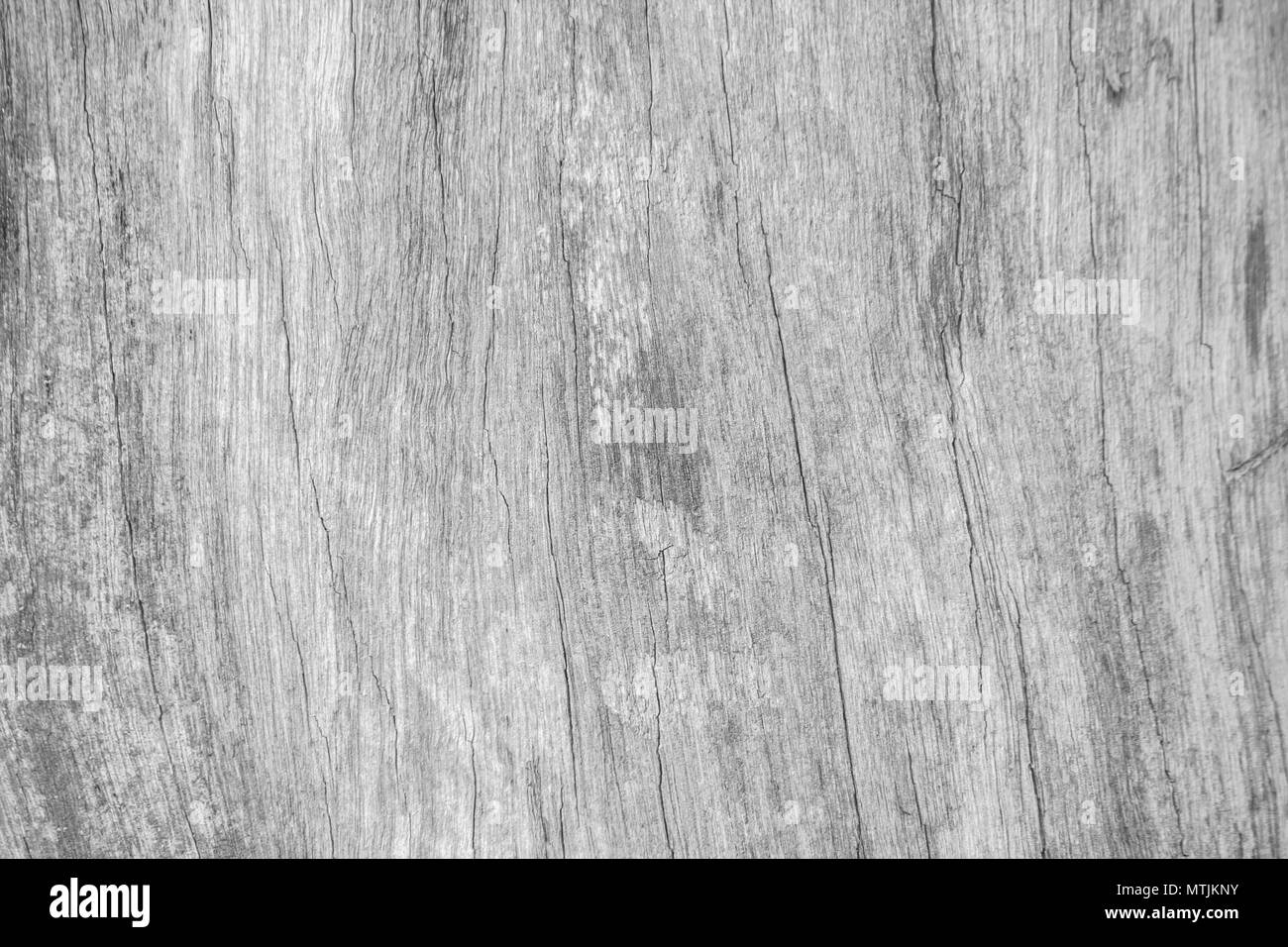 Weißes Holz muster textur für Hintergrund. Holz Oberfläche für Textur Design. Stockfoto
