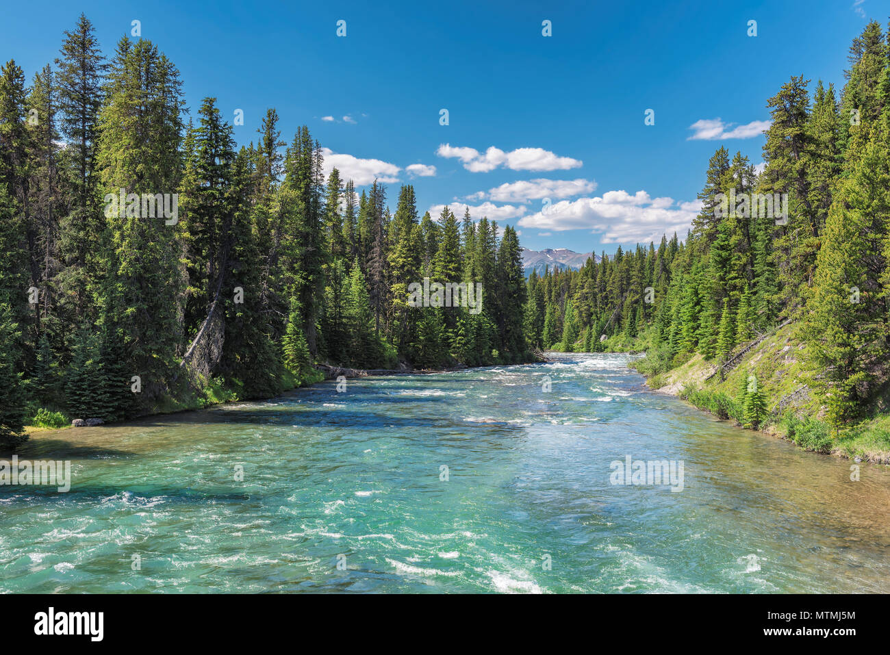 Schönen Fluss im Jasper National Park, Alberta, Kanada. Stockfoto