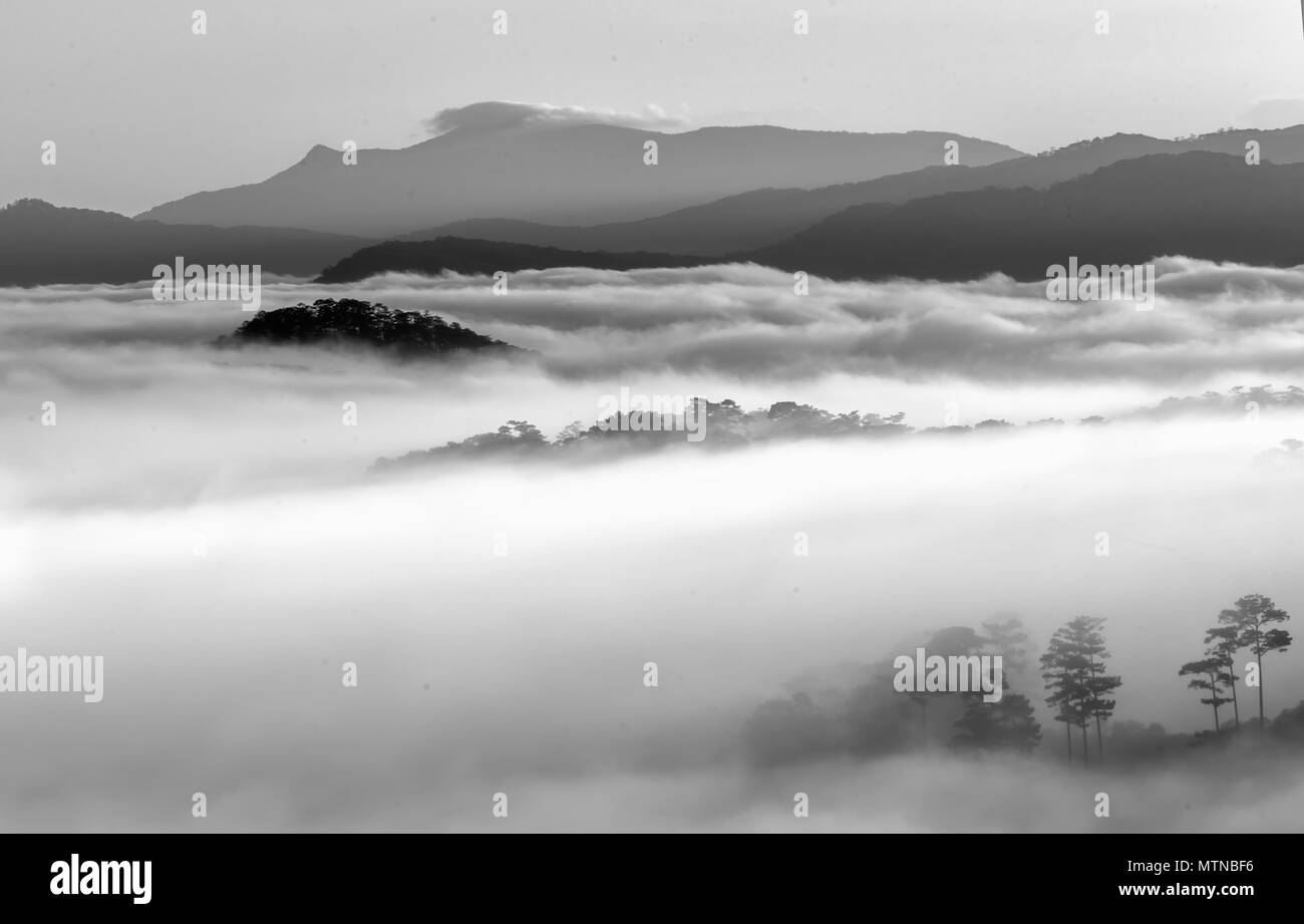 Landschaft Morgennebel bedeckt das Tal wie Wolken im wunderschönen idyllischen Hochland von Dalat, Vietnam Stockfoto