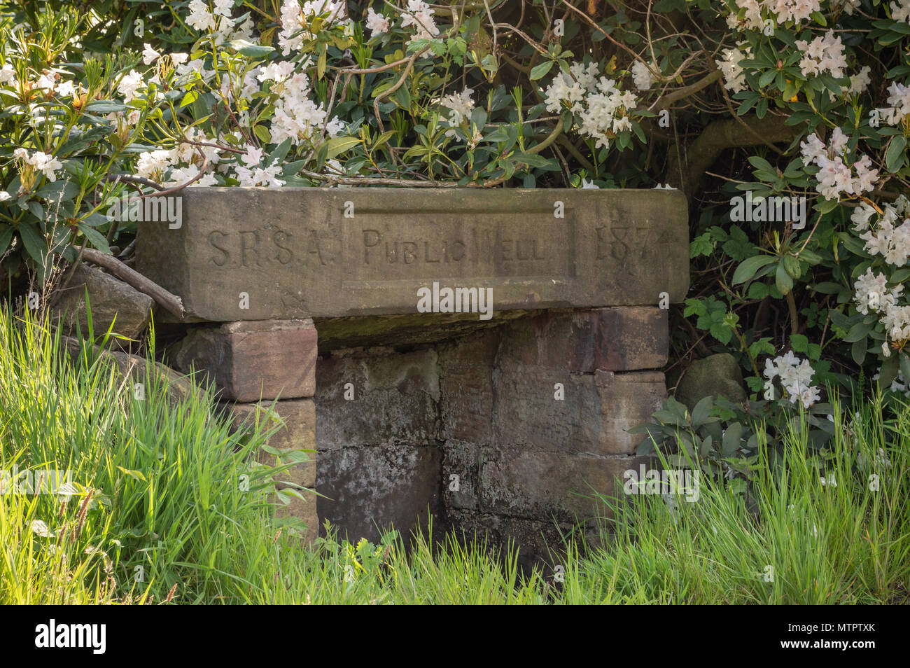 Eine alte neunzehnten Jahrhunderts Staffordshire ländlichen Sanitär Behörde Stein öffentliche Trinkwasser gut. Stockfoto