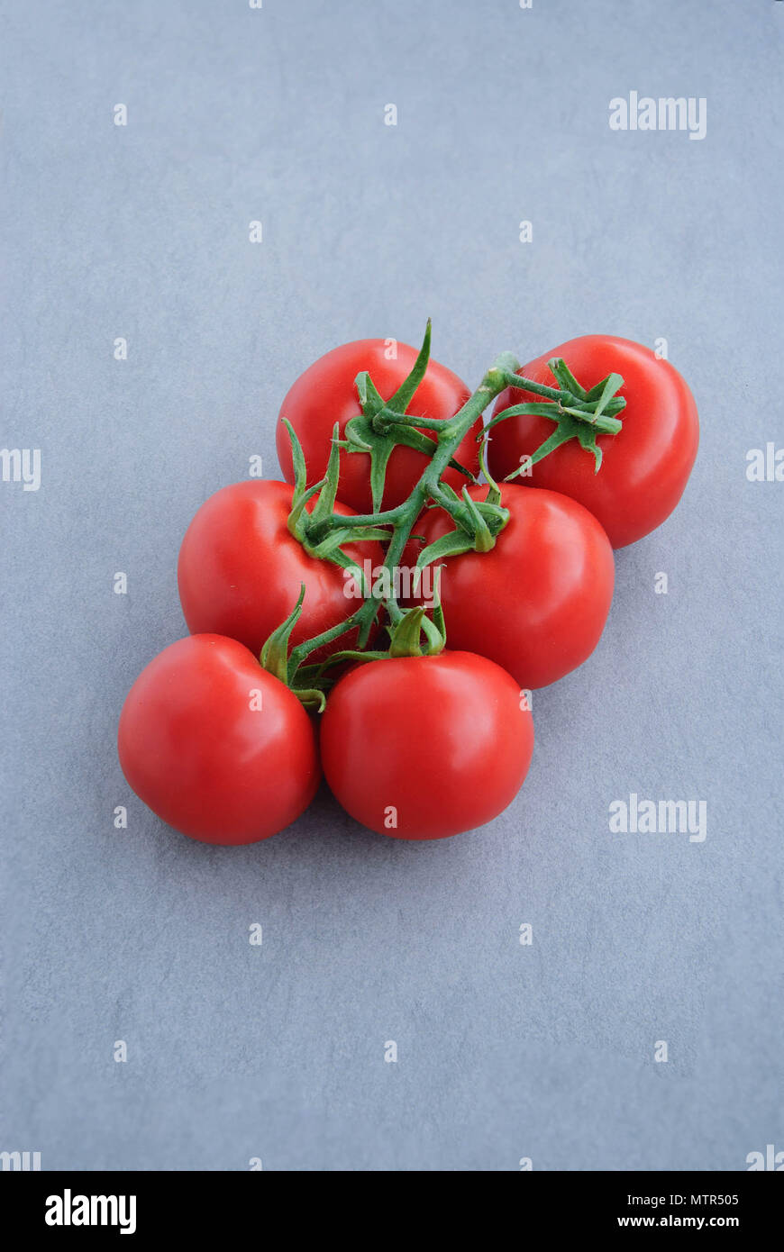 Tomaten auf dunklem Hintergrund Stockfoto