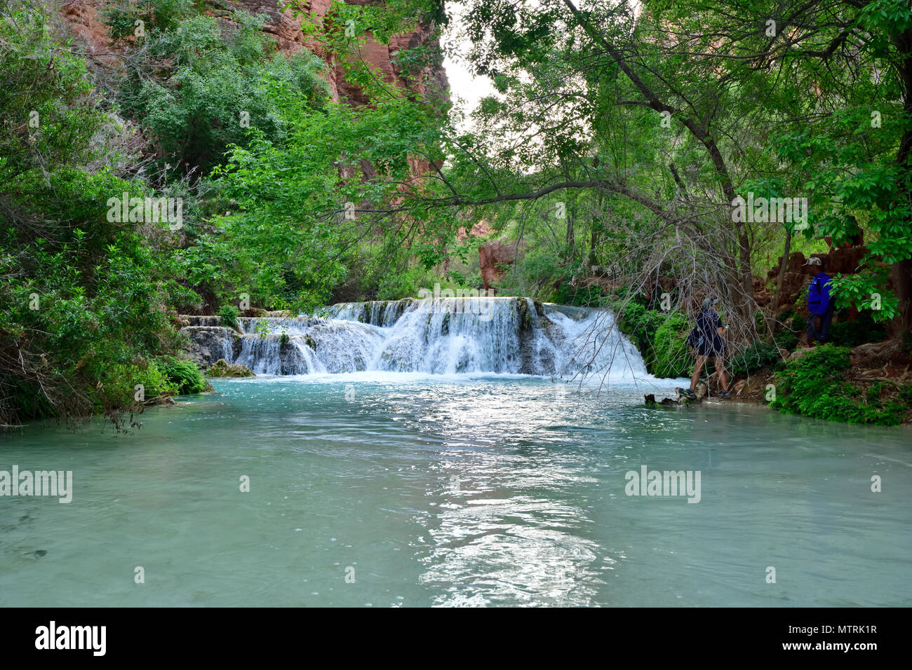 Havasu Creek Stromschnellen und Wasserfällen Stockfoto