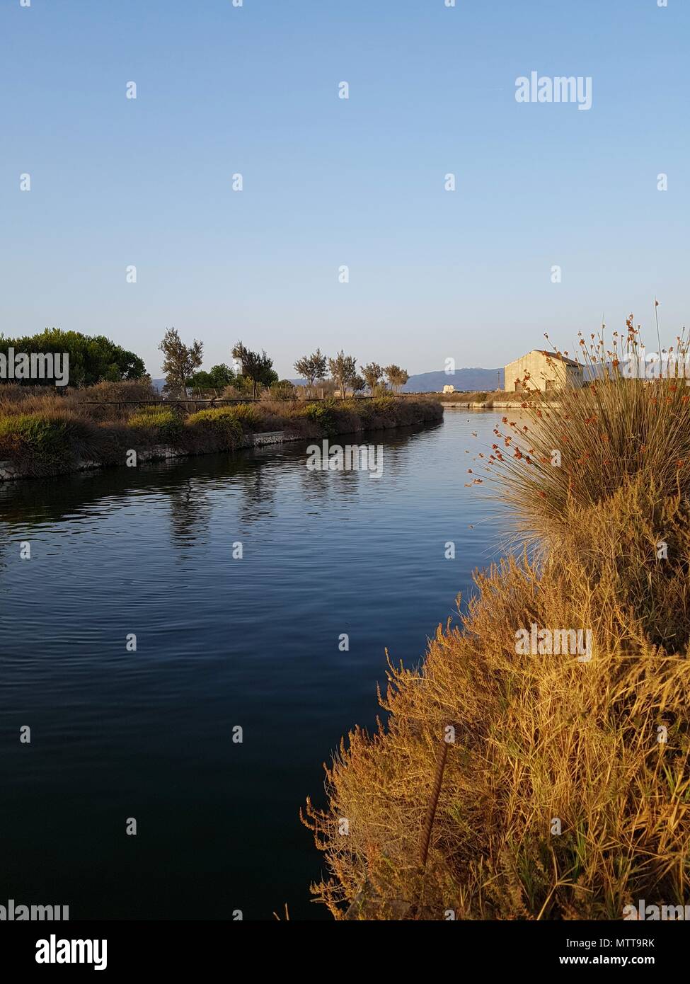 Molentargius Regional Park, Cagliari, Sardinien, Italien Stockfoto