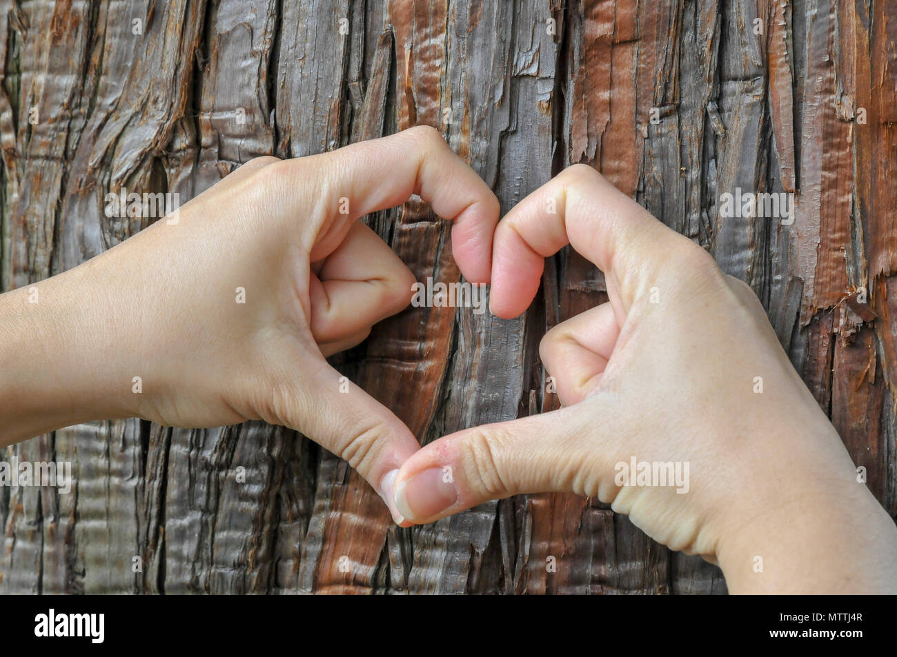 Ich liebe Bäume die Hände bilden ein Herz Form auf einem Baumstamm Stockfoto