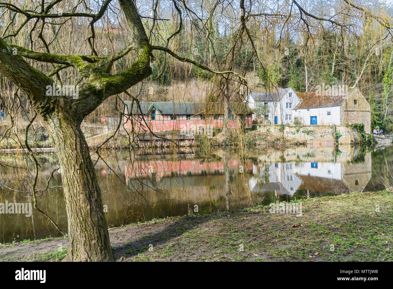 Durham, Fluss Wehr Mühle, Stadtzentrum, County Durham, England, Stockfoto