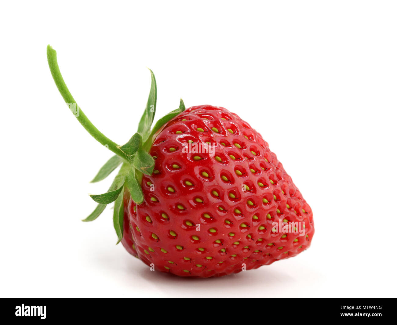 Nahaufnahme eines einzigen perfekten Erdbeere auf weißem Hintergrund Stockfoto