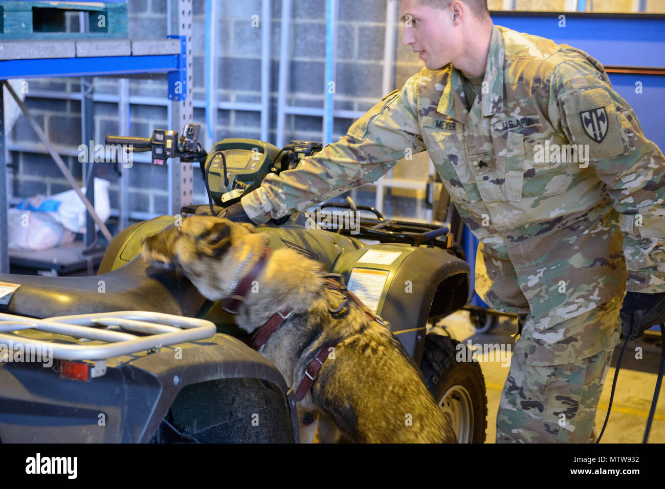 Us-Armee Sgt. Brandon Meyer bezeichnet den Sitz eines All Terrain Vehicle, Meki, acht Jahre alten Schäferhund, der 100 militärische Gebrauchshund Loslösung zugeordnet, die Suche wird in einem Hangar auf chièvres Air Base, Belgien, Jan. 11, 2017. (U.S. Armee Foto von visuellen Informationen Spezialist Pierre-Etienne Courtejoie) Stockfoto