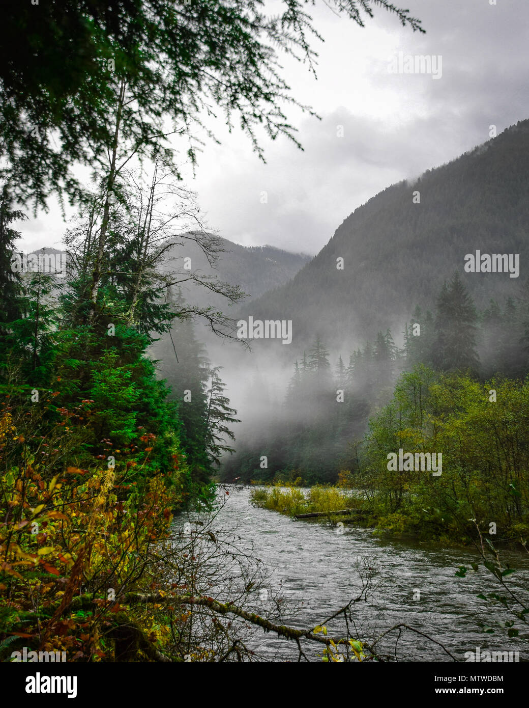 Einem nebligen Herbsttag auf der Seymour River, North Vancouver, BC Kanada Stockfoto