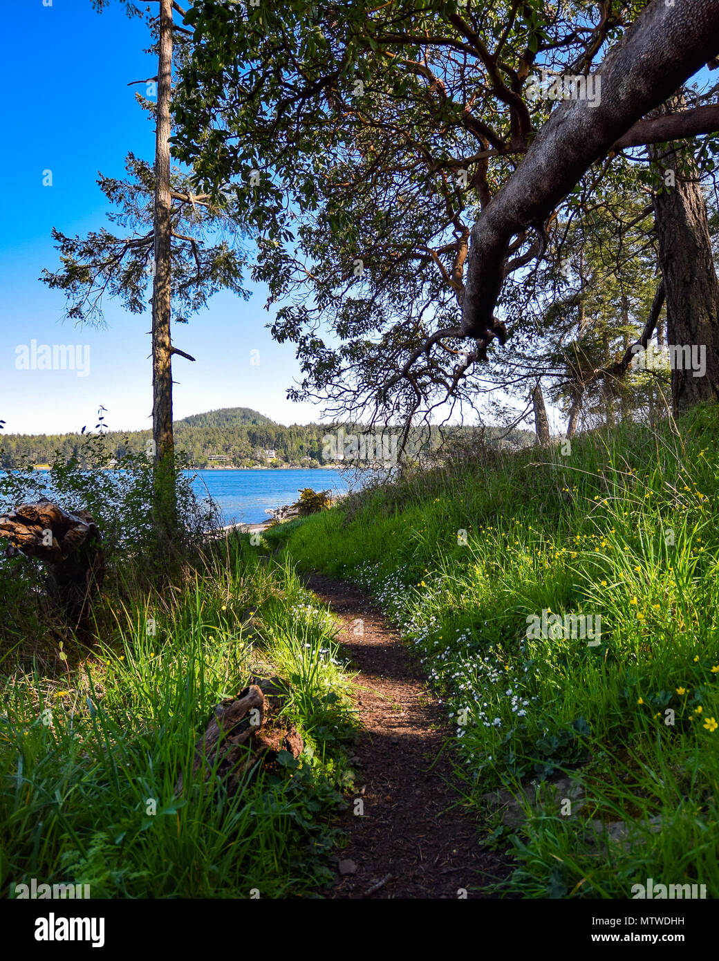 Ein kurzer Wanderweg am Bellhouse Provincial Park, Galiano Island, British Columbia, Kanada Stockfoto