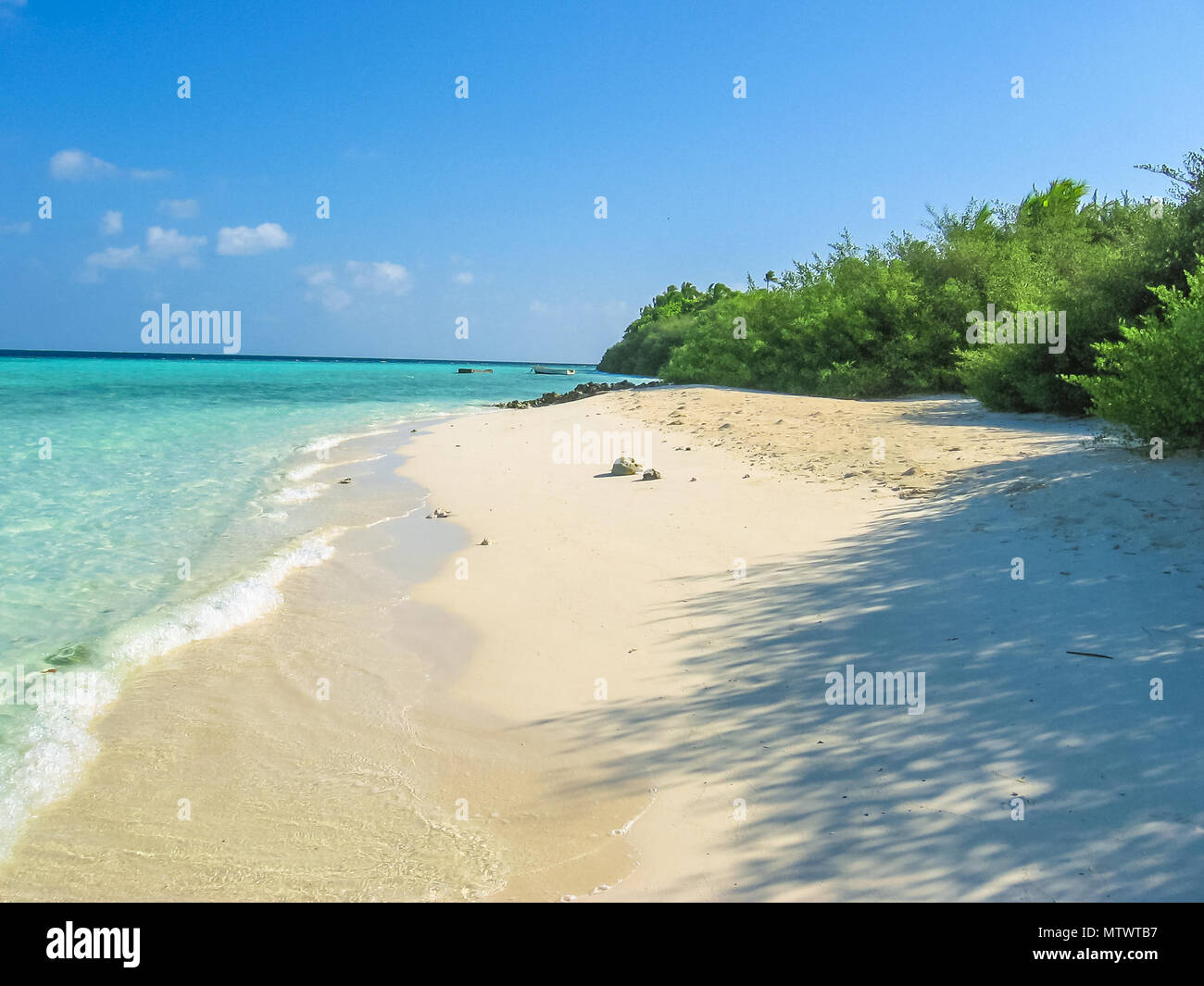 Atoll, Malediven, Indischer Ozean. Palmen am weißen Sandstrand. Türkisfarbene Wasser der Lagune. Asdu bei männlichen Norden. Stockfoto