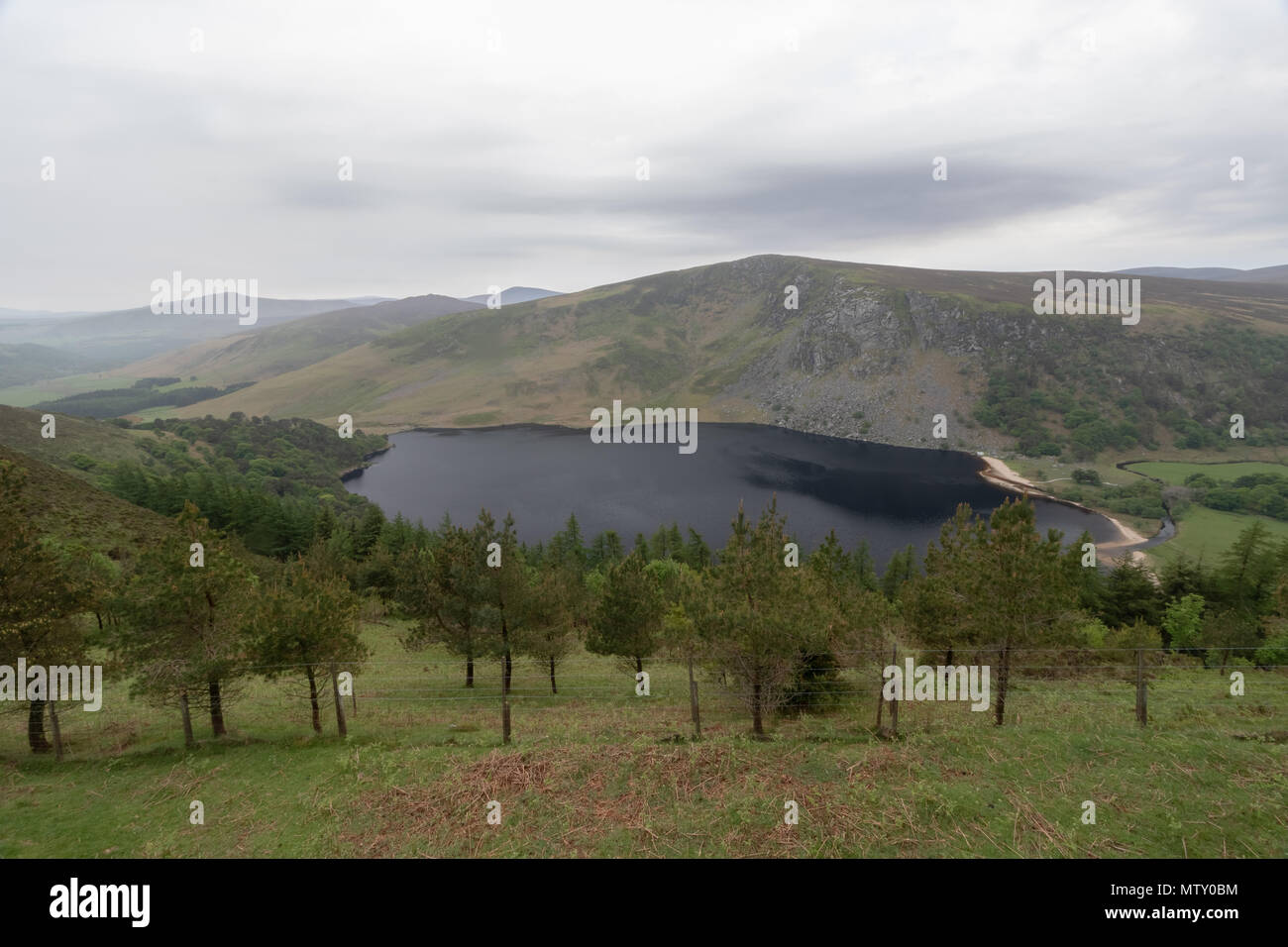 Landschaft Irland, Wicklow Mountains wandern, Wicklow Irland Stockfoto