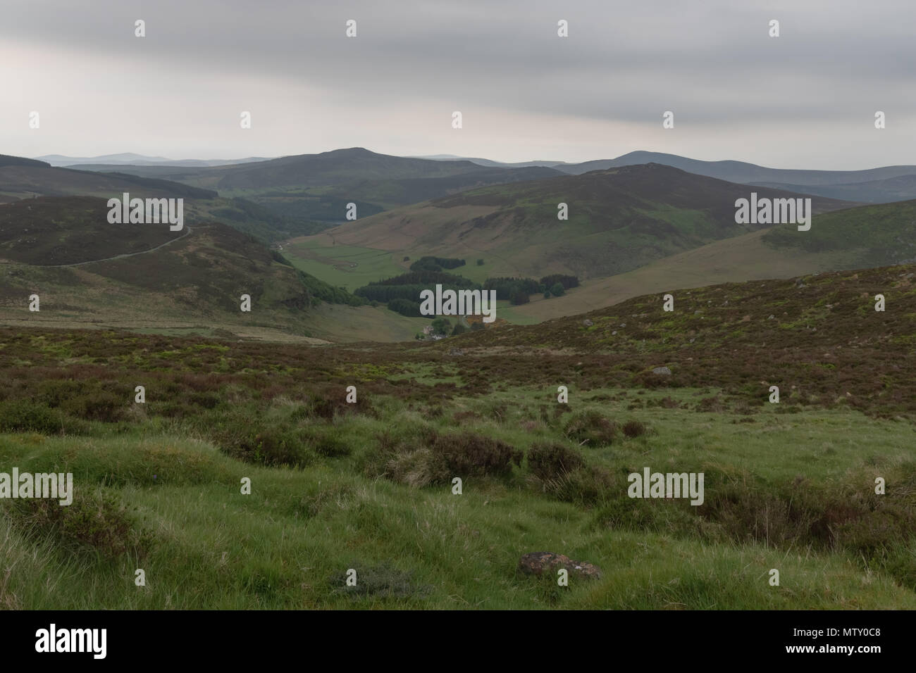 Landschaft Irland, Wicklow Mountains wandern, Wicklow Irland Stockfoto