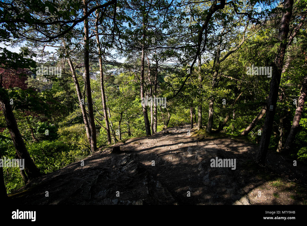 Ein Blick auf die Bäume mit Blick auf die Stadt Spa in Belgien Stockfoto