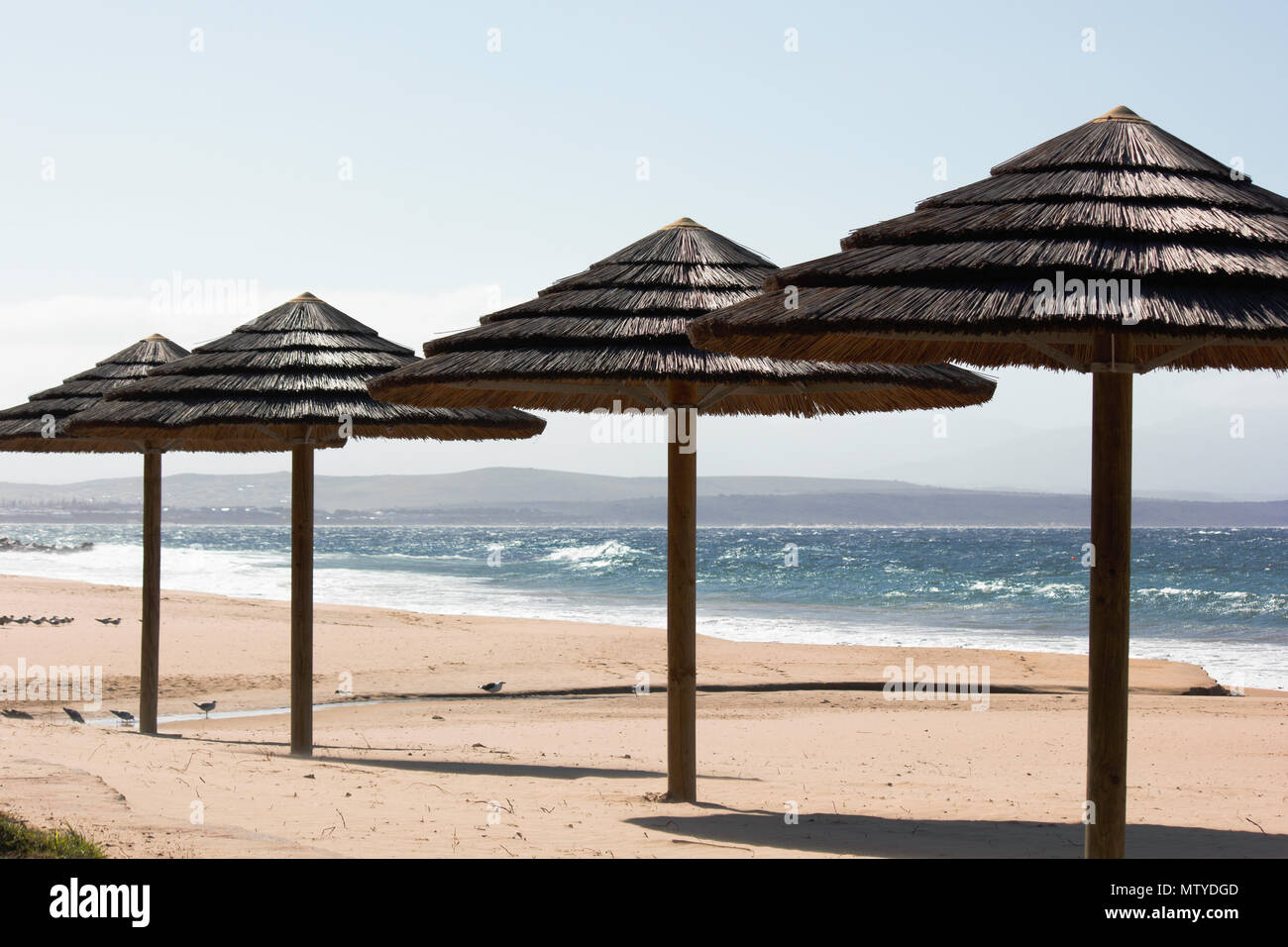 Strohdach Strand Palapas an heissen Sommertag Stockfoto