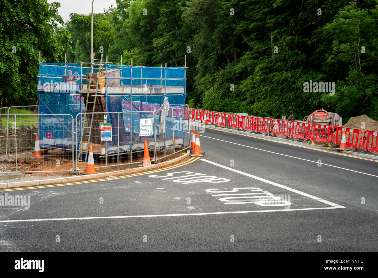 Baumschnitzerei für zukünftige Kunstprojekte. Zäune um den Baum an der Kreuzung New Road und Port Road in Killarney, County Kerry, Irland Stockfoto