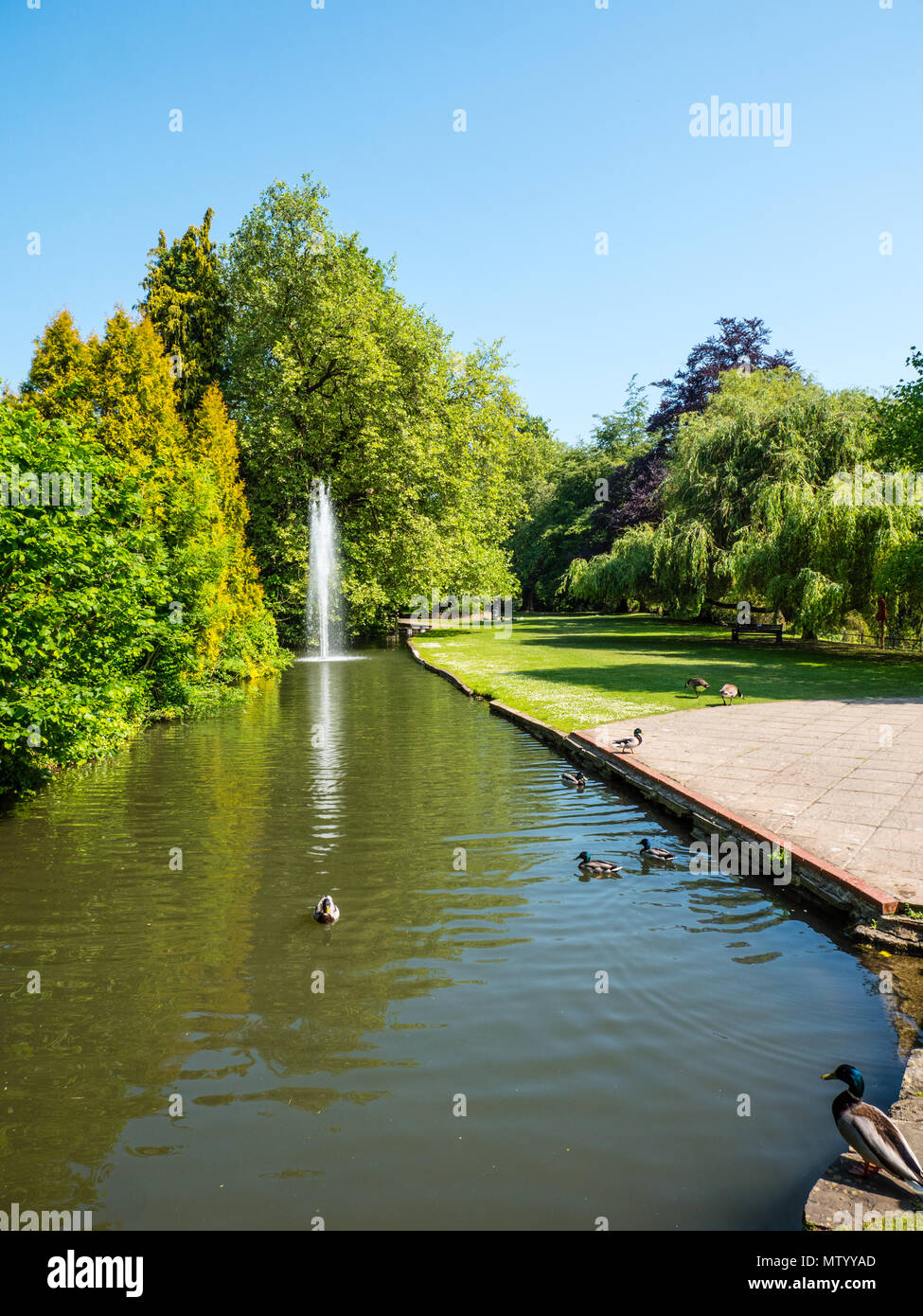 Ray Mühle Insel, Maidenhead, Berkshire, England, UK, GB. Stockfoto