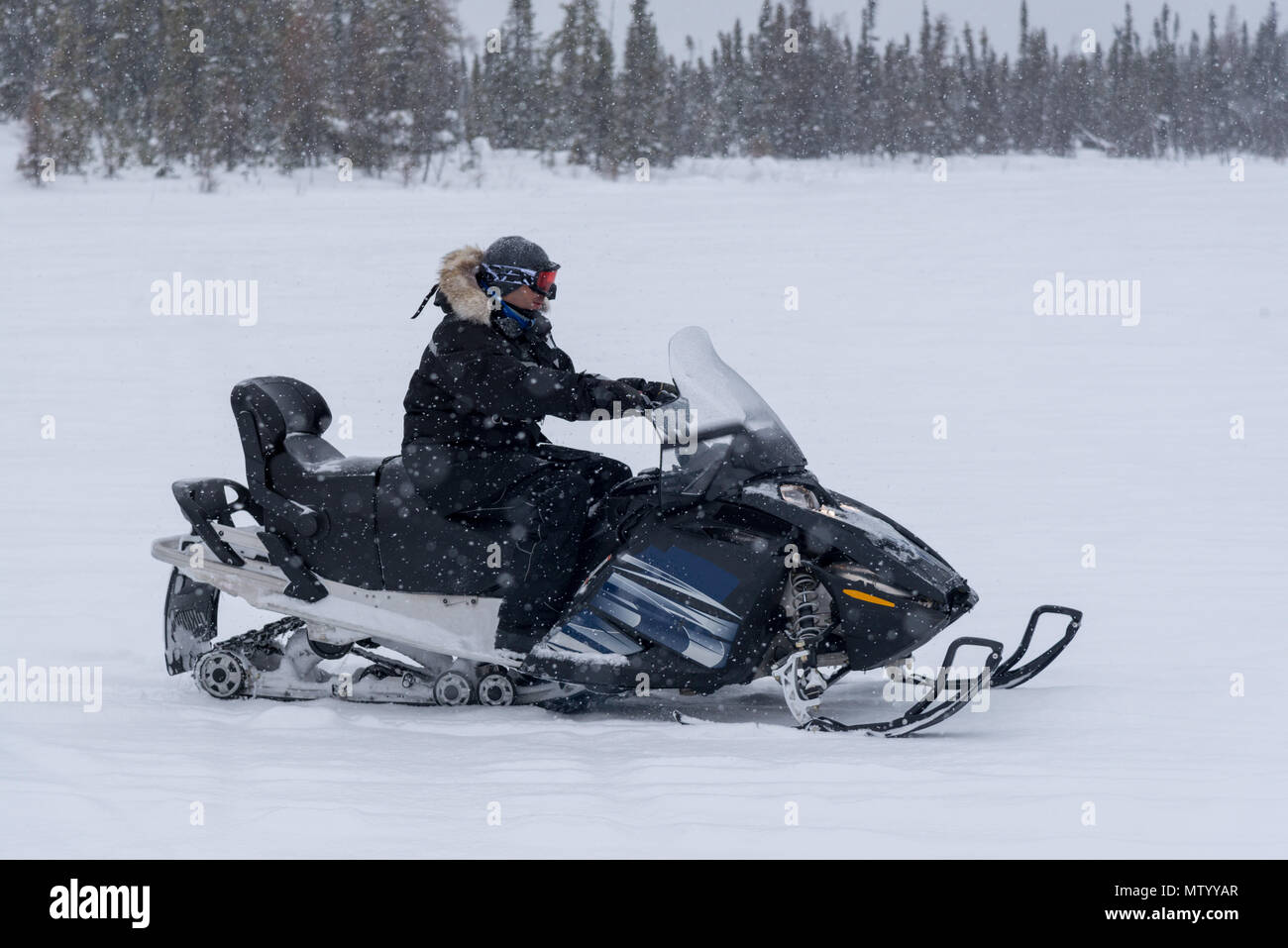 Mann, der ein Schneemobil, Yellowknife, Nordwest-Territorien, Kanada Stockfoto