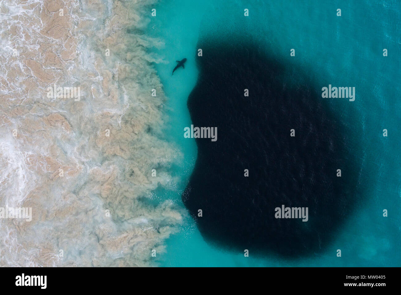 Luftaufnahme der Haie füttern auf einen Köder ball, Carnarvon, Western Australia, Australien Stockfoto