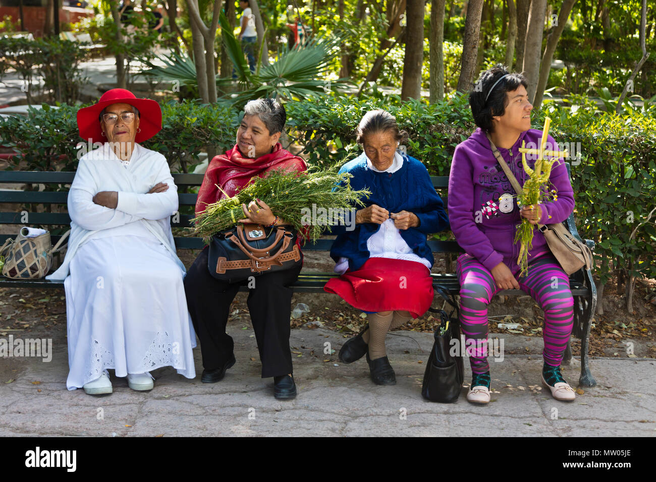 Mexikanische Frau für die PALMSONNTAGSPROZESSION vom Parque Juarez zum Jardin - San Miguel de Allende, Mexiko sammeln Stockfoto