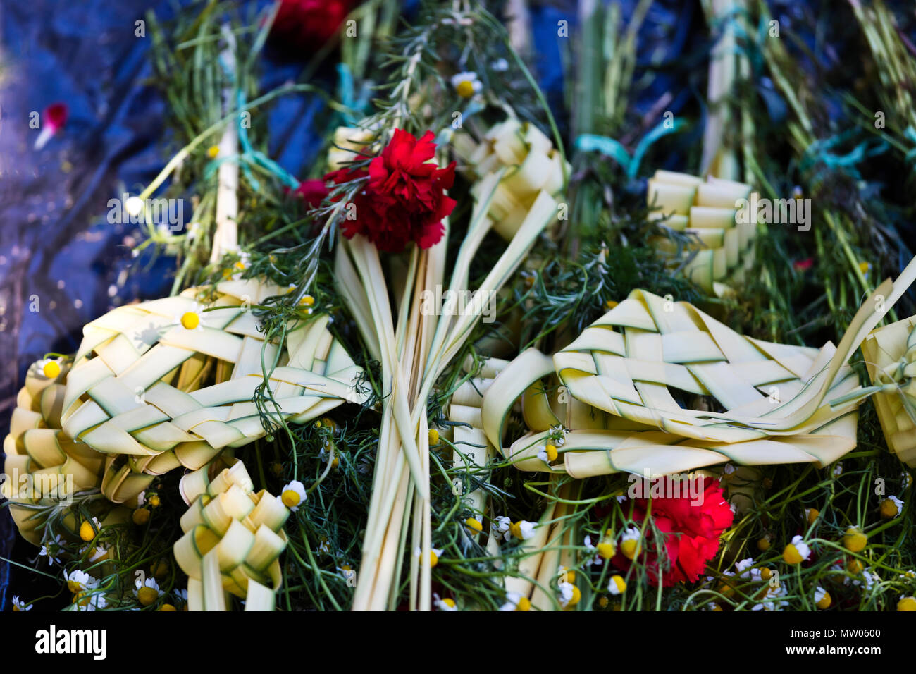 Geflochtenen Palmwedeln sind in der PALMSONNTAGSPROZESSION vom Parque Juarez zum Jardin - San Miguel de Allende, Mexiko Stockfoto