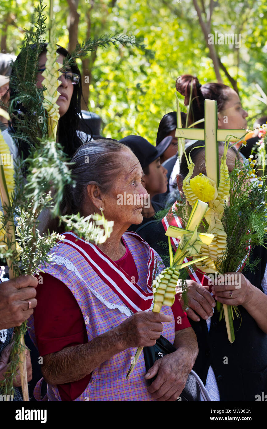 Mexikaner Line up für eine blession zu Beginn der PALMSONNTAG Prozession vom Parque Juarez zum Jardin - San Miguel de Allende, Mexiko Stockfoto