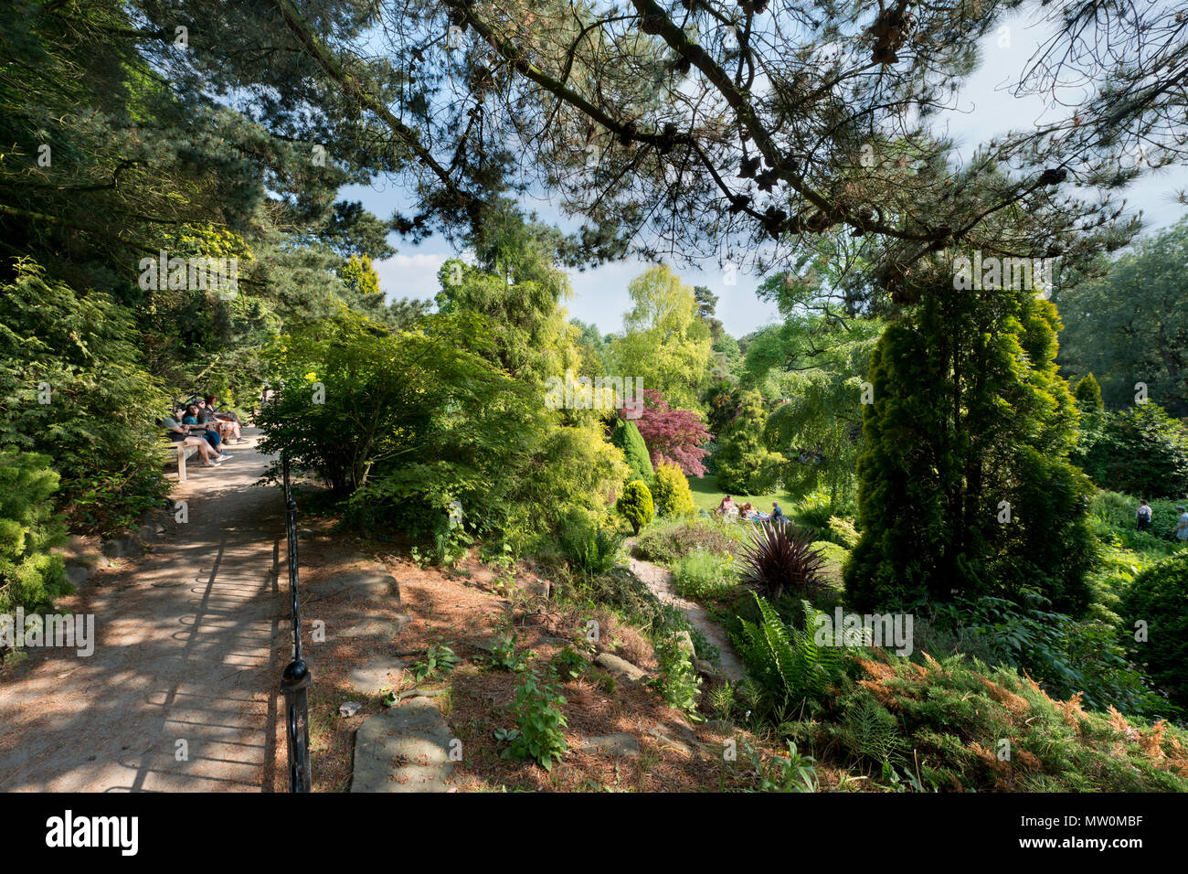 Der Steingarten in Fletcher Moss Botanischer Garten, im Didsbury Gegend von Manchester, Großbritannien. Stockfoto