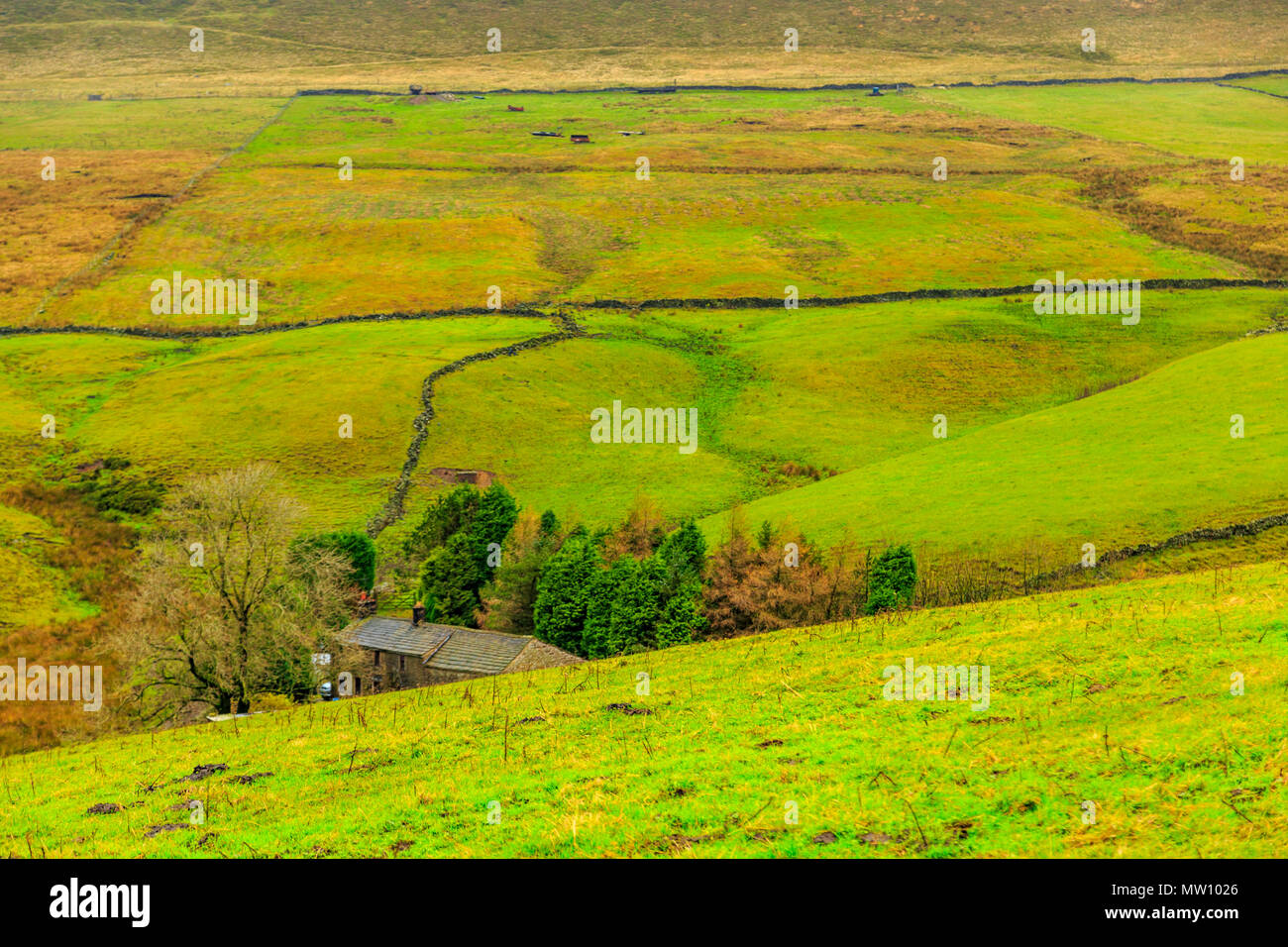 Die sanften Hügel des Derbyshire Stockfoto