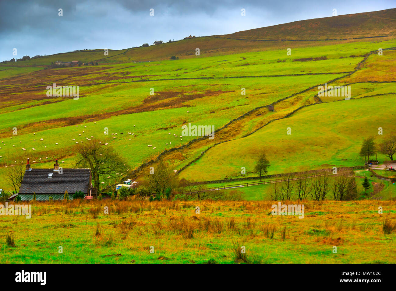 Die sanften Hügel des Derbyshire Stockfoto