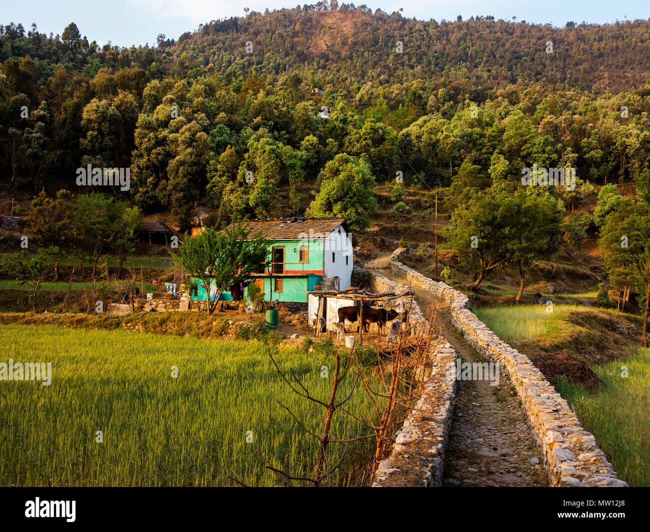 Kala Agar Dorf auf Kumaon Hügel, bekannt durch Jim Corbett in seinem Buch Menschenfresser von Kumaon, Uttarakhand, Indien Stockfoto