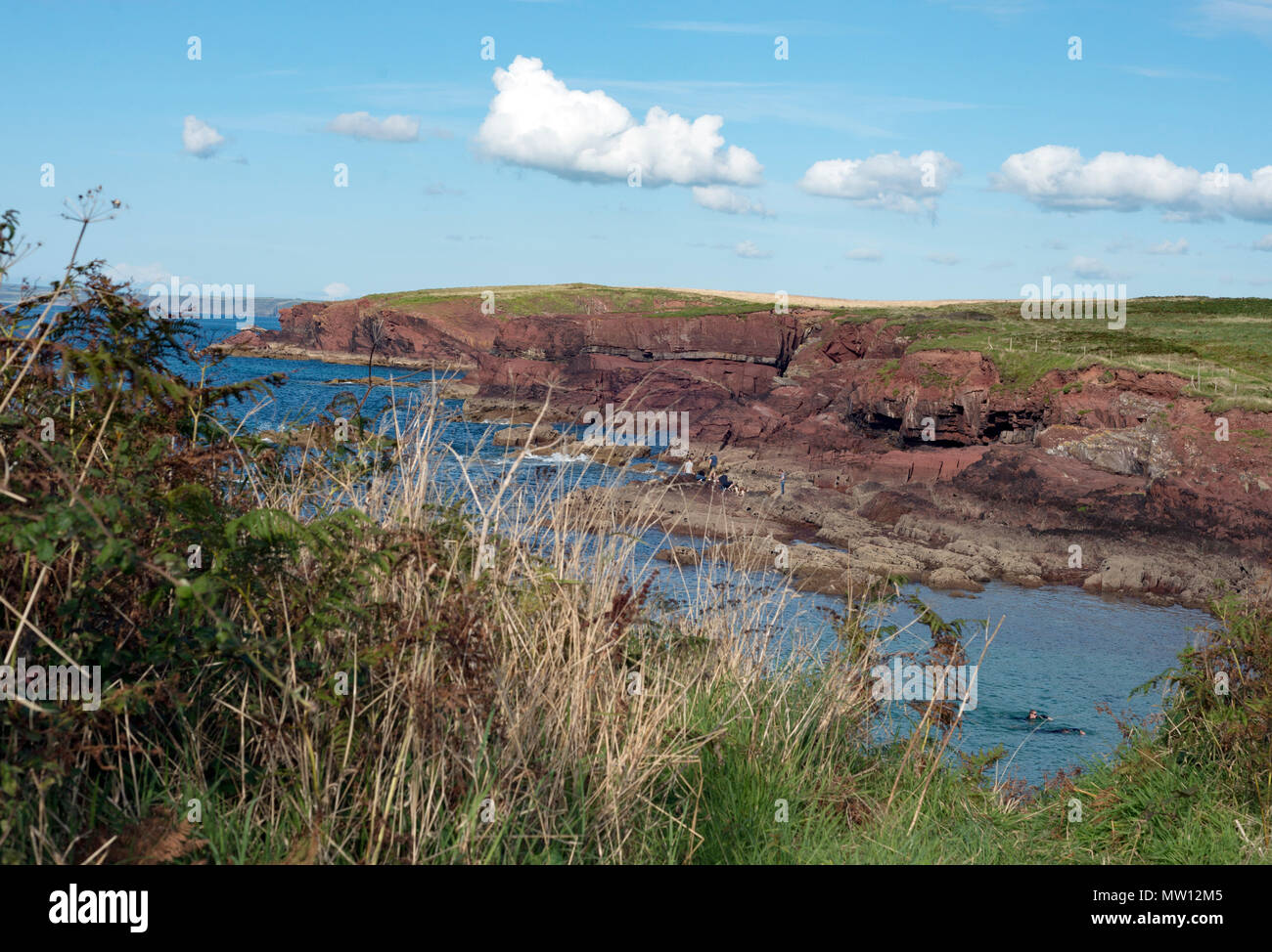 Pembrokeshire Coast, St Davids, Wales Stockfoto