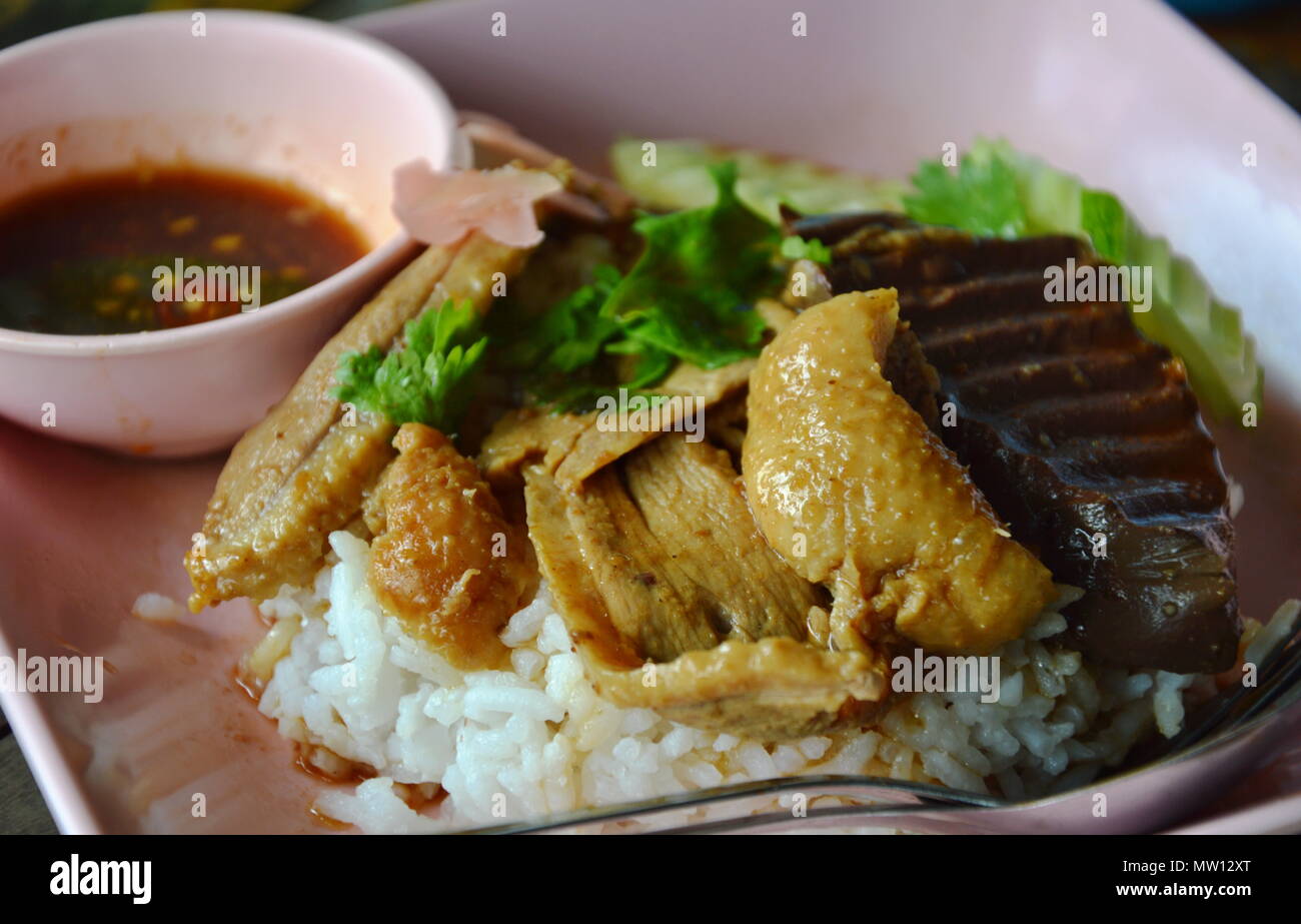 Gedünstete Ente in der braunen Suppe auf Reis Stockfoto