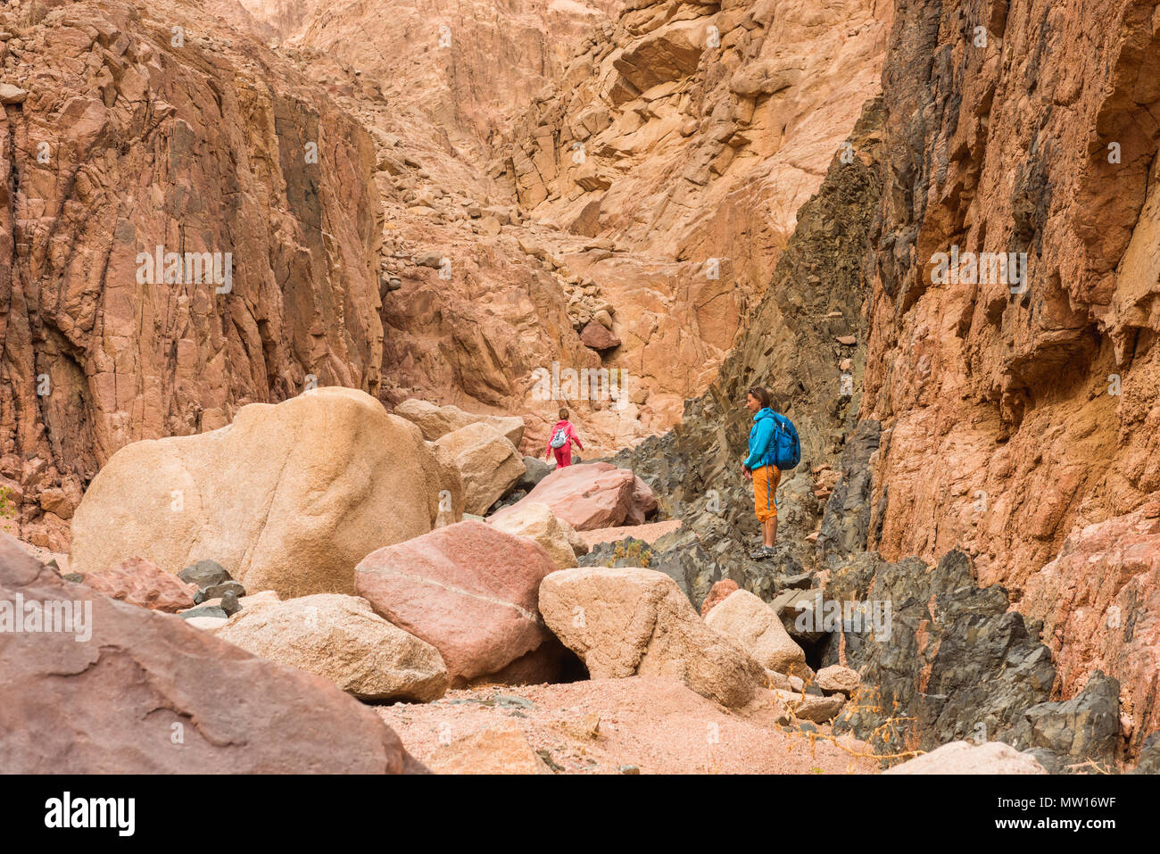 Frau Wanderer mit Rucksack genießen Sie Blick in Wüste Stockfoto