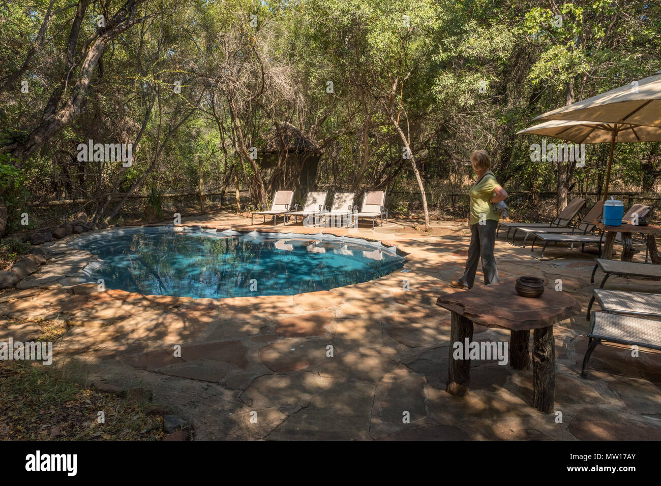 Schwimmbad in Mashatu Tented Camp in Botswana Stockfoto