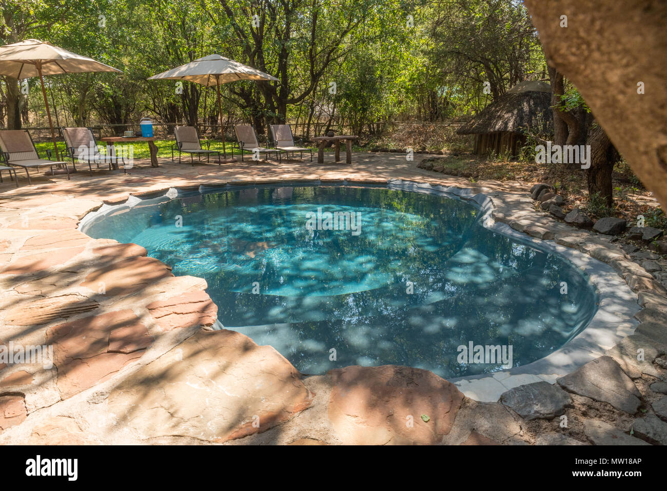 Schwimmbad in Mashatu Tented Camp in Botswana Stockfoto
