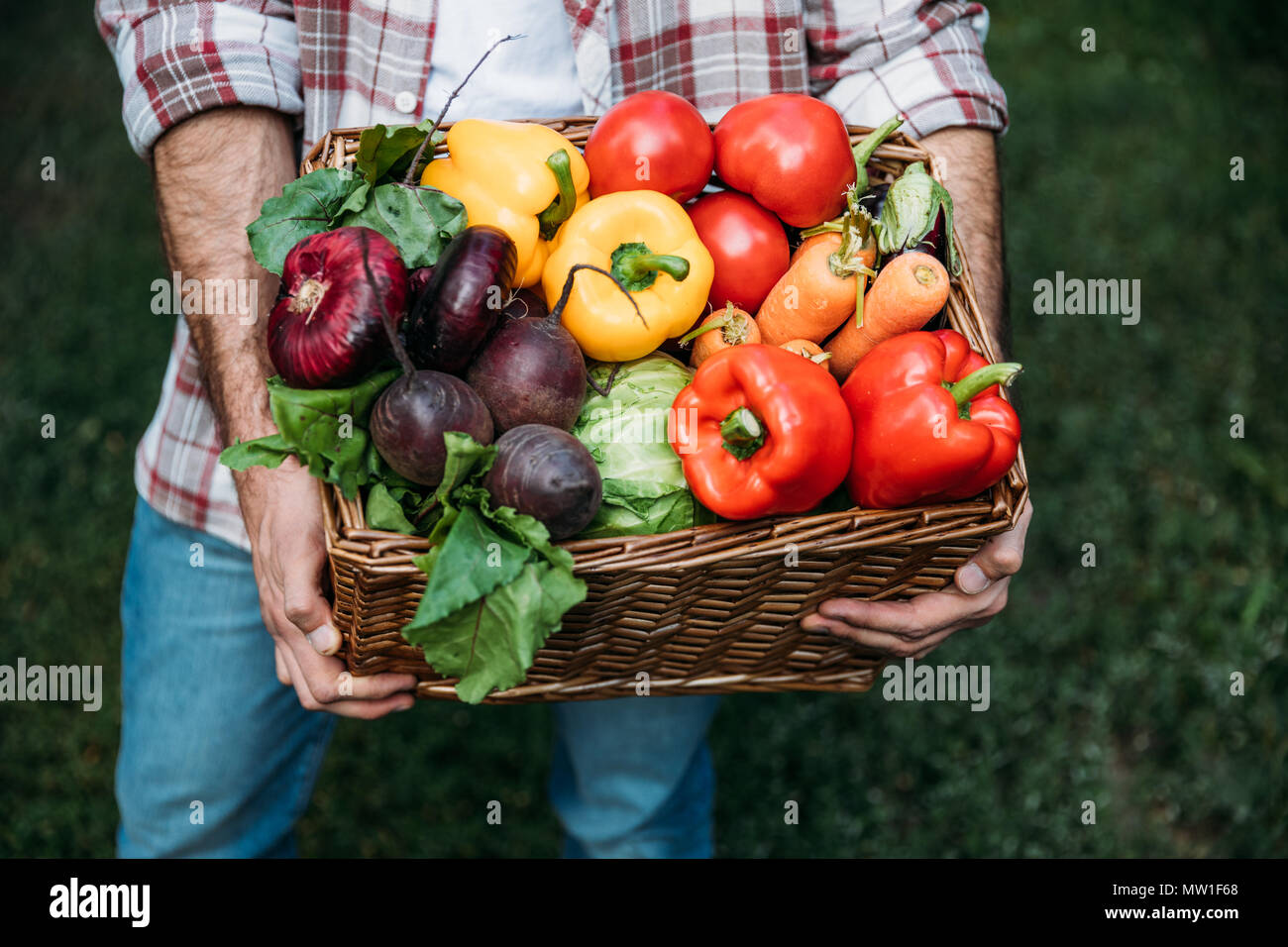 7/8 shot der männlichen Bauer Holding frisches Bio-Gemüse im Korb  Stockfotografie - Alamy