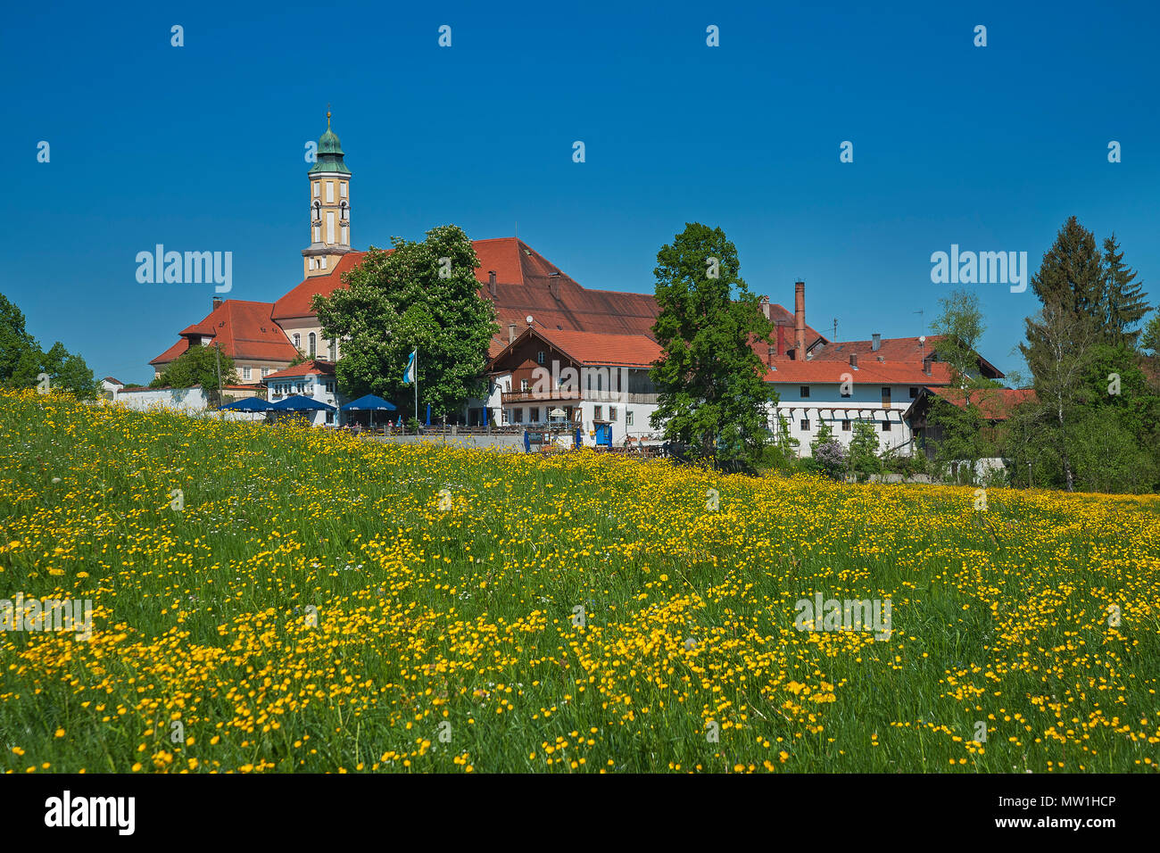 Kloster Reutberg, Frühlingswiese, Sachsenkam, Oberbayern, Bayern, Deutschland Stockfoto