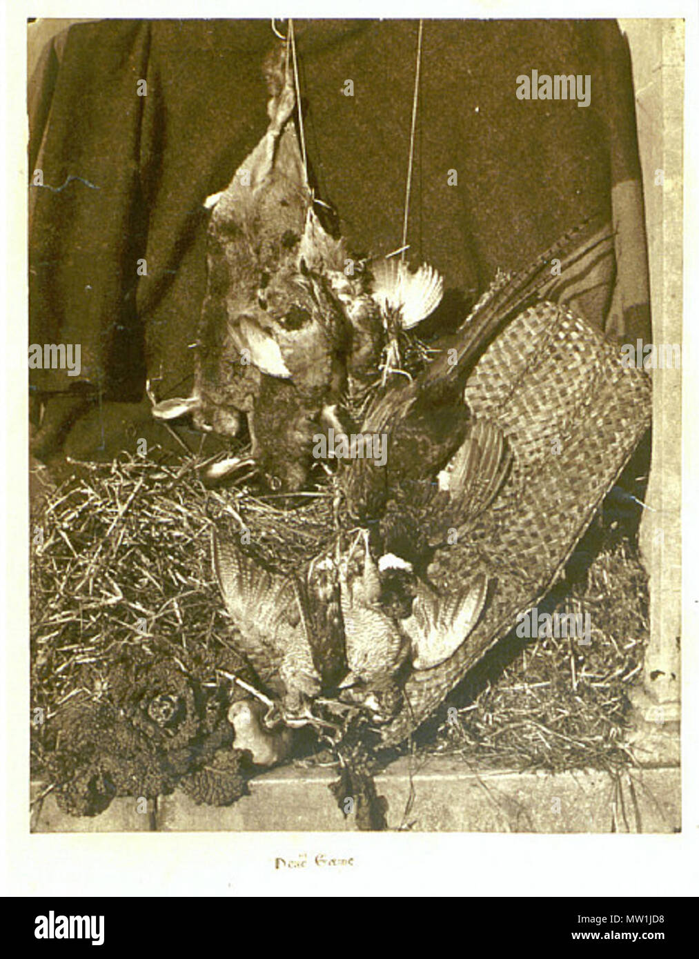 . Toten Spiel. Eiweiß drucken, 9 9/16 x 7 11/16 in. (24,3 x 19,5 cm). 1854. John dillwyn Llewelyn 320 John dillwyn Llewelyn - Toten Spiel Stockfoto