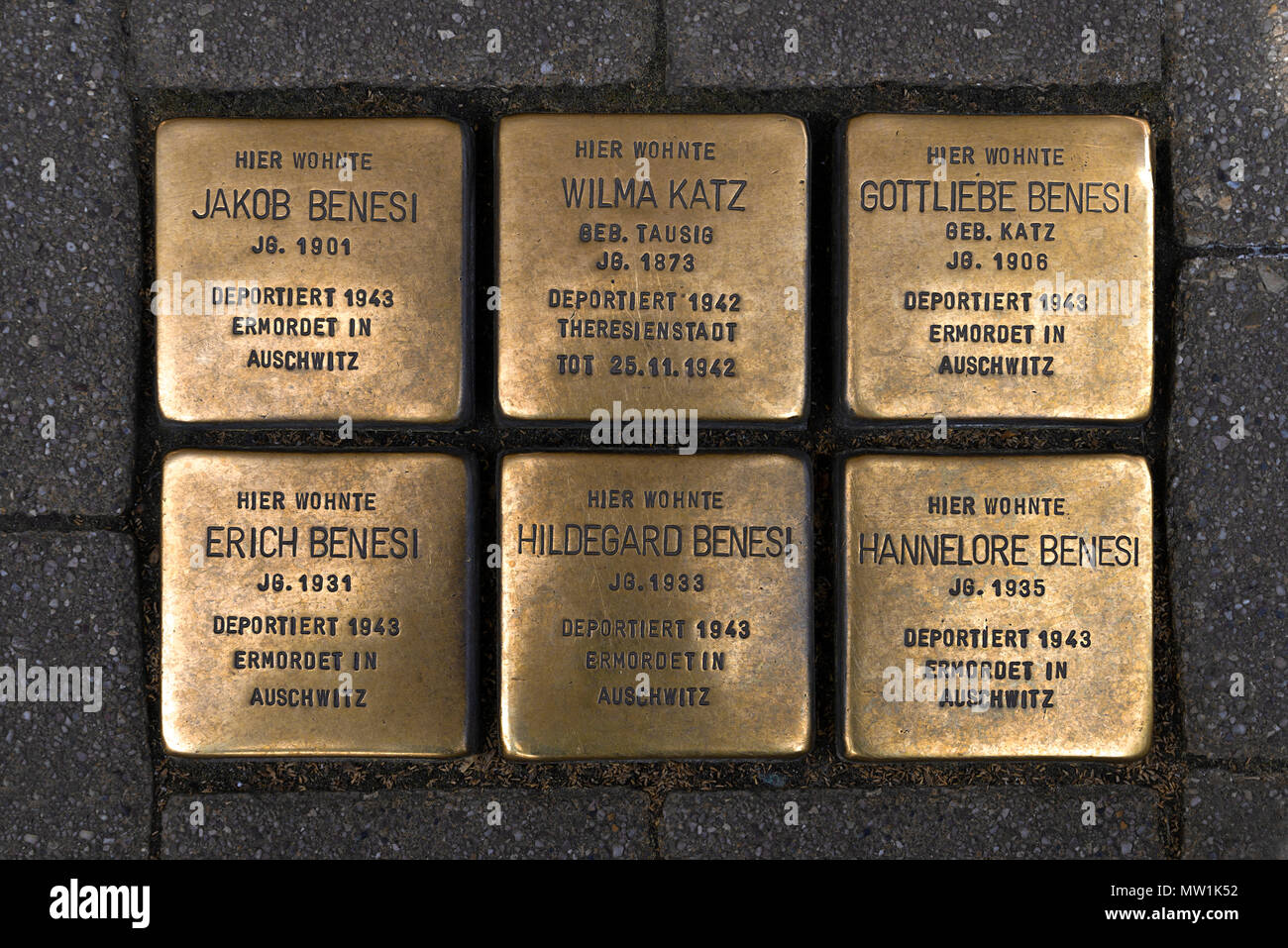 Stolpersteine, Kupfer memorial Platten der ermordeten jüdischen Mitbürger in der NS-Zeit, Erlangen, Mittelfranken Stockfoto