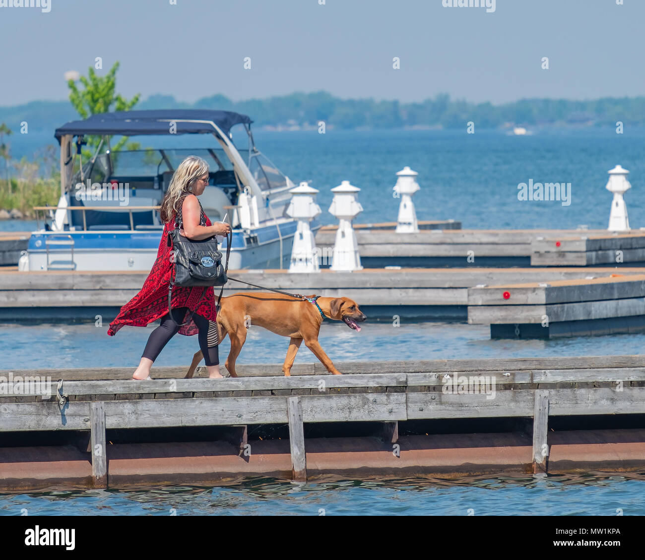 Frau gehen mit Ihrem Hund an einem heißen sonnigen Tag am Orillia Ontario Kanada Waterfront. Stockfoto