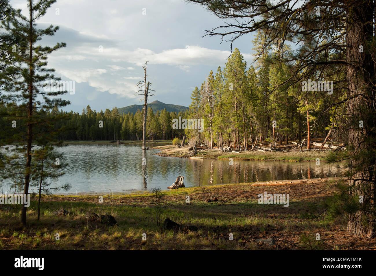 Abendlicher Blick von der East Bay Campground am Thompson Reservoir, Fremont National Forest, in der Nähe von Silver Lake, Oregon. Hager Berg mit seinen Feuer suchen Stockfoto