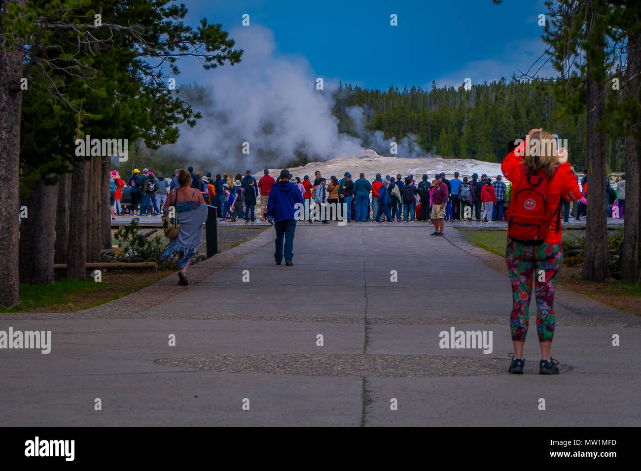 YELLOWSTONE, Montana, USA, 24. Mai 2018: Im Blick auf die Masse der Touristen beobachten und die Bilder von den Old Faithful im Yellowstone National Park ausbrechenden Stockfoto