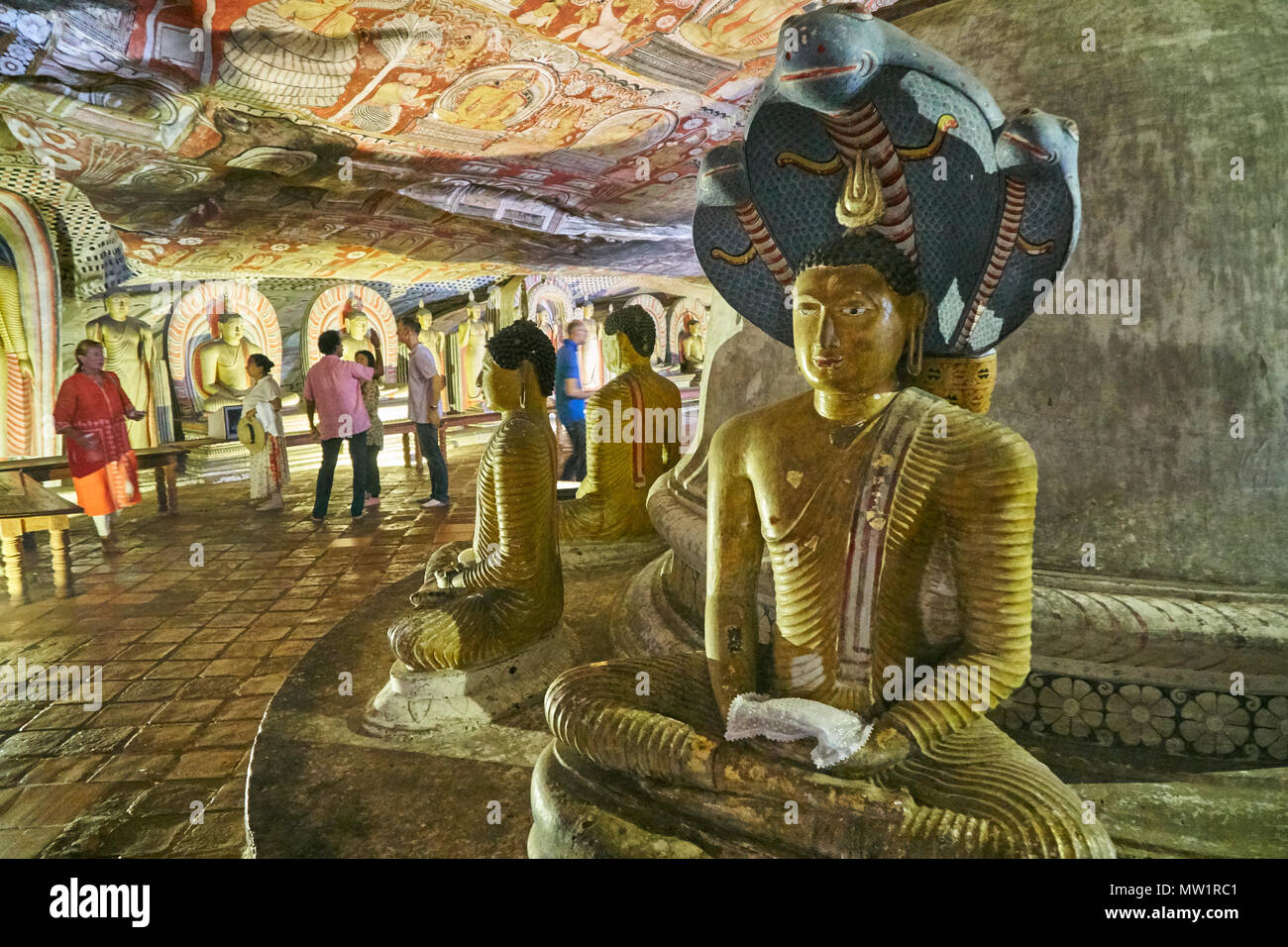 Buddha-Statuen im Dambulla Höhlentempel, Bezirk Matale, Sri Lanka Stockfoto